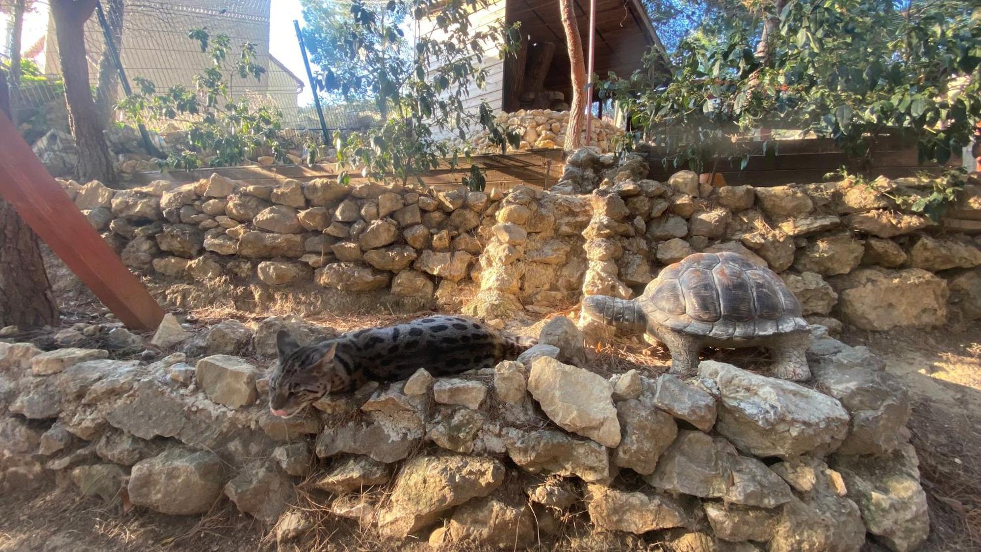 Les Jardins De L'Oustal Villa Narbonne Eksteriør bilde